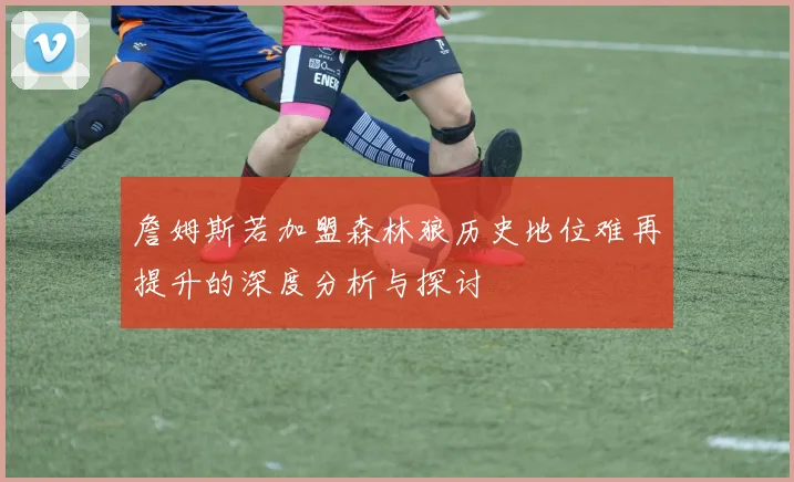 詹姆斯若加盟森林狼历史地位难再提升的深度分析与探讨