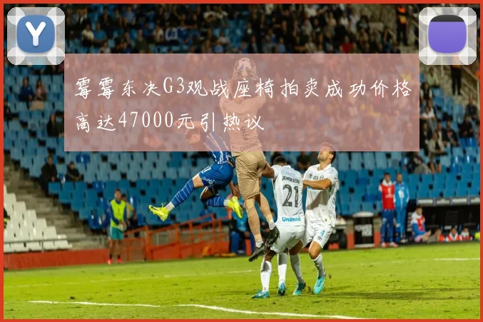 霉霉东决G3观战座椅拍卖成功价格高达47000元引热议